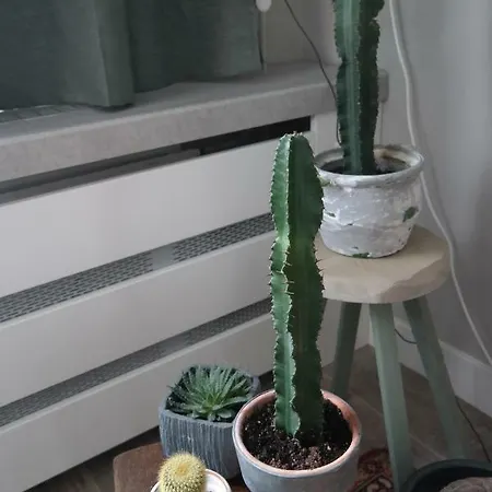شقة Casa Houtenbos